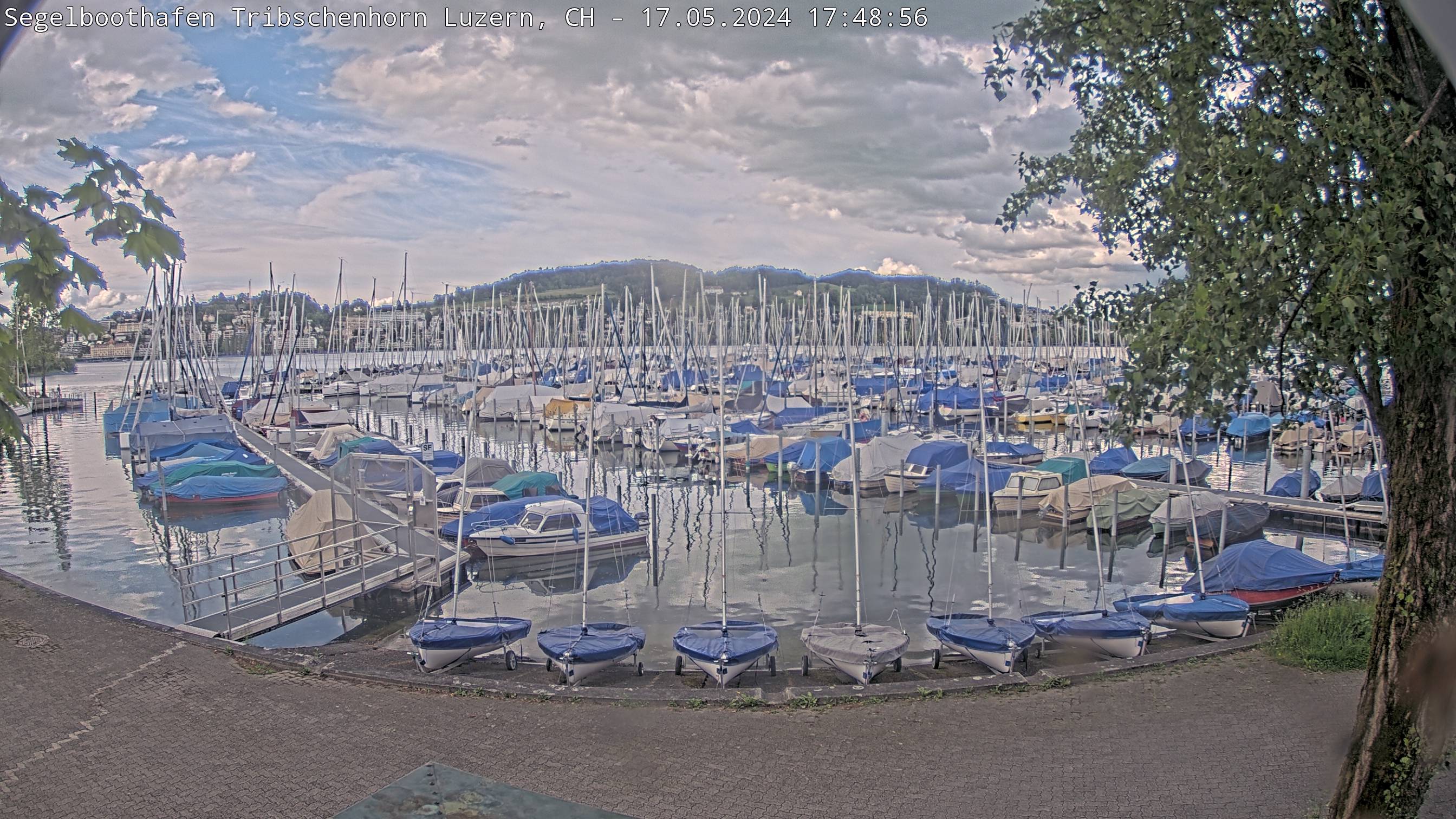Livecam Segelboothafen Tribschenhorn